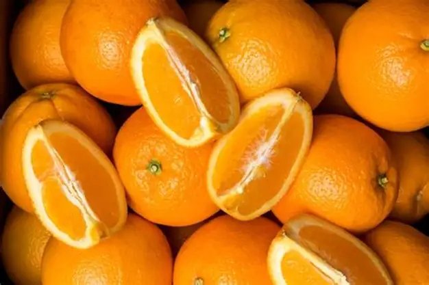 Valencia Orange